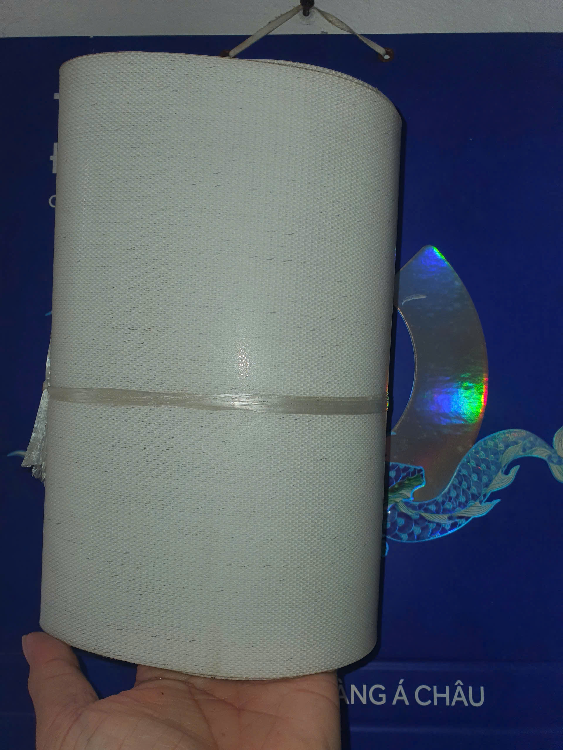 băng tải lưới nhựa